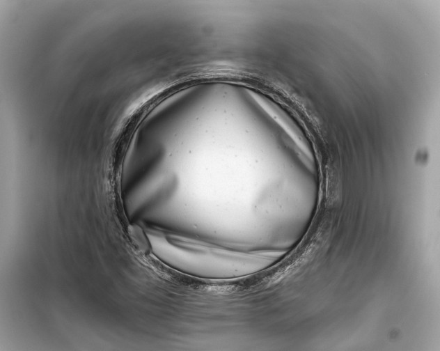 X0000099301453200805161337