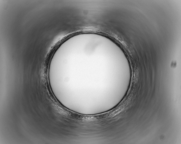 X0000099301454200805161337