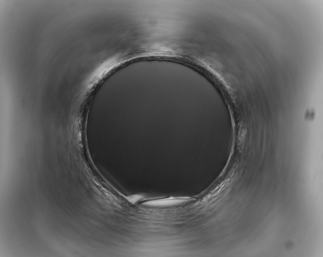 X0000099301455200805161337