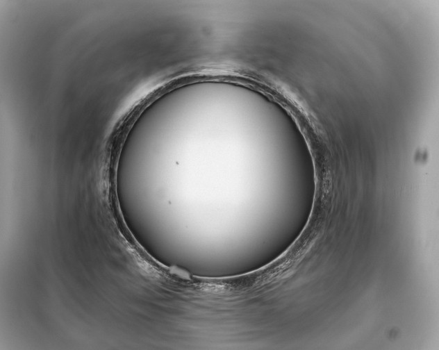 X0000099301456200805161337