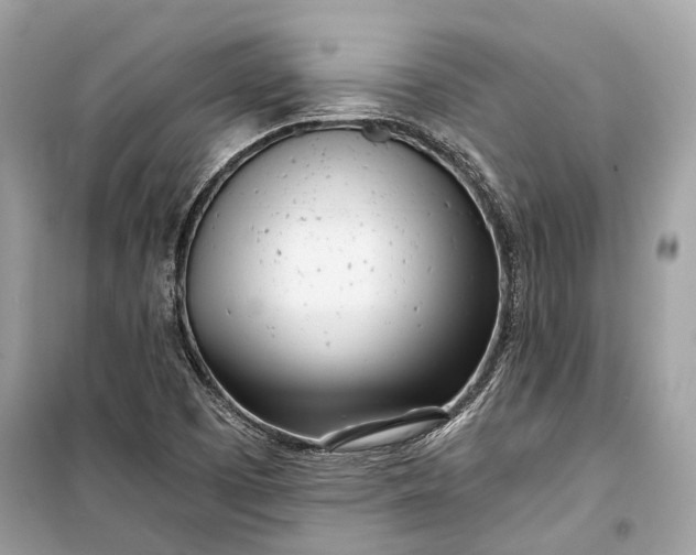 X0000099301457200805161337