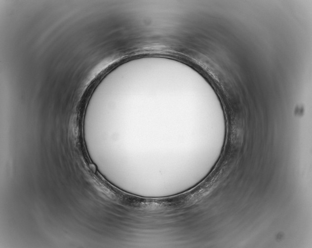 X0000099301458200805161337