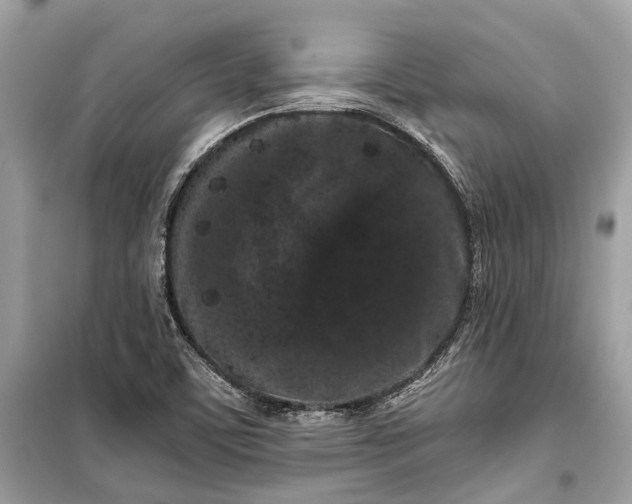 X0000099301459200805161337