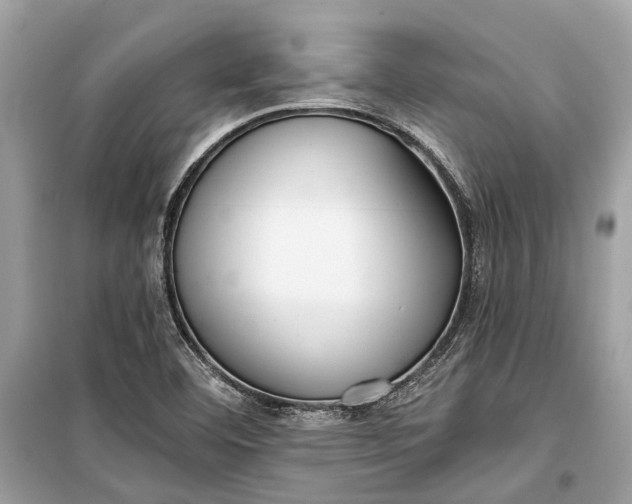 X0000099301460200805161337