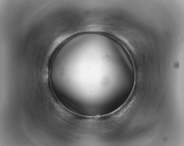 X0000099301461200805161337