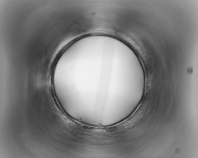 X0000099301462200805161337