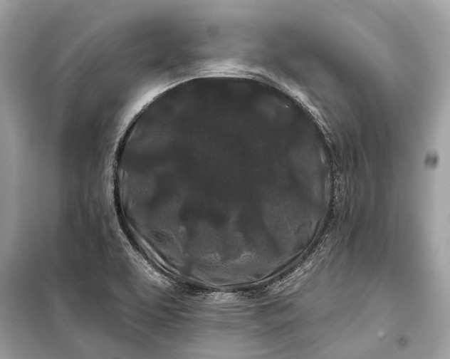 X0000099301463200805161337