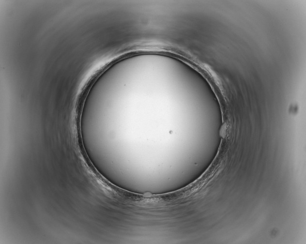 X0000099301464200805161337