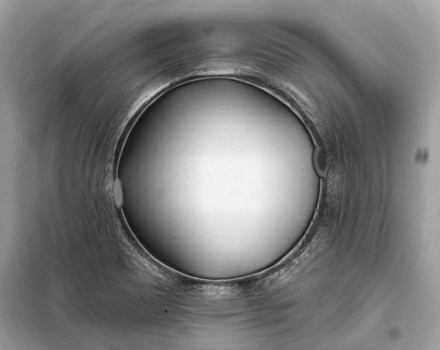 X0000099301465200805161337