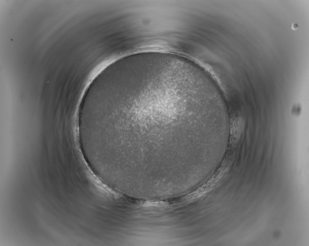 X0000099301466200805161337