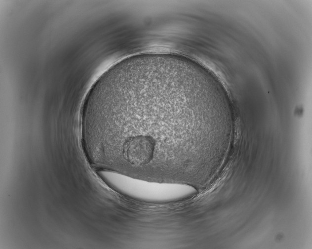 X0000099301467200805161337