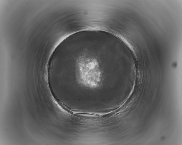 X0000099301468200805161337