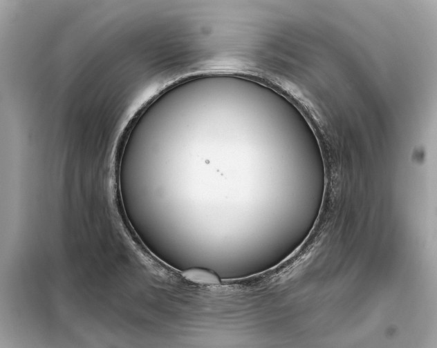 X0000099301469200805161337