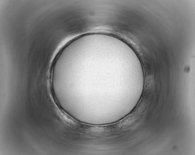 X0000099301470200805161337