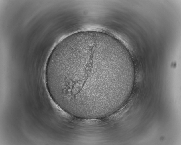 X0000099301471200805161337