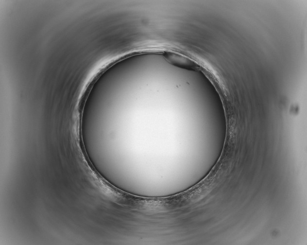 X0000099301472200805161337