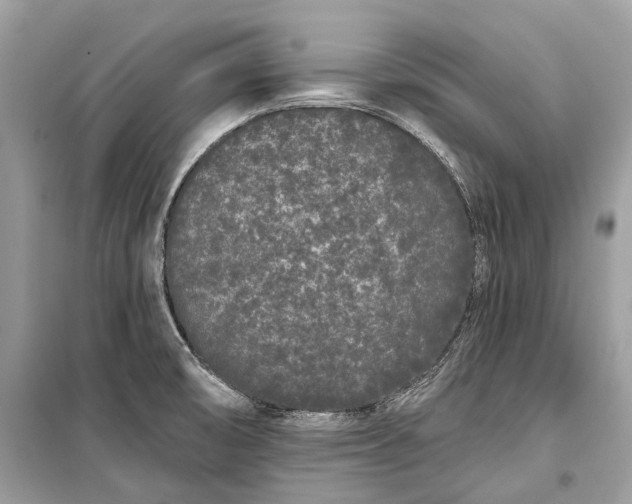 X0000099301474200805161337