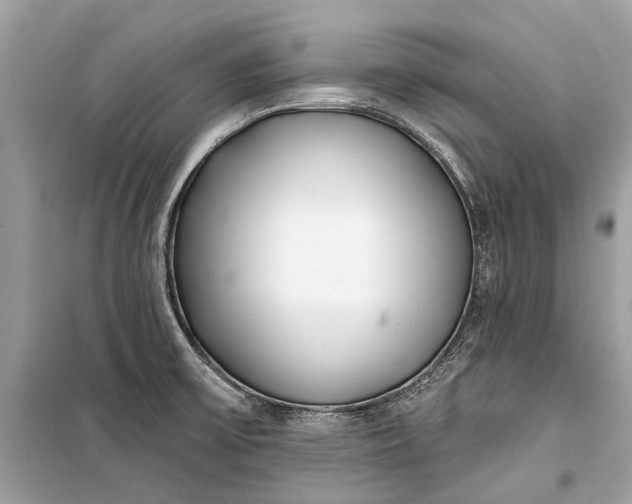 X0000099301475200805161337