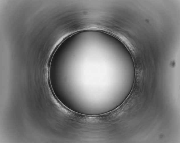 X0000099301476200805161337