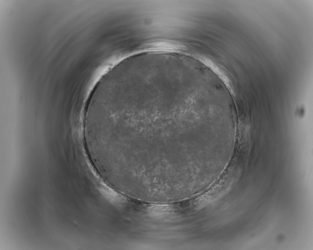 X0000099301477200805161337