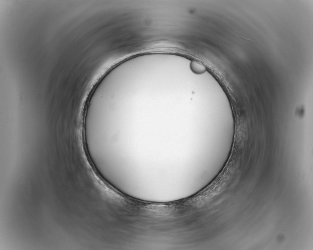 X0000099301478200805161337