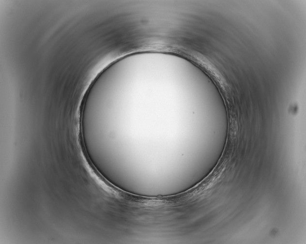 X0000099301479200805161337