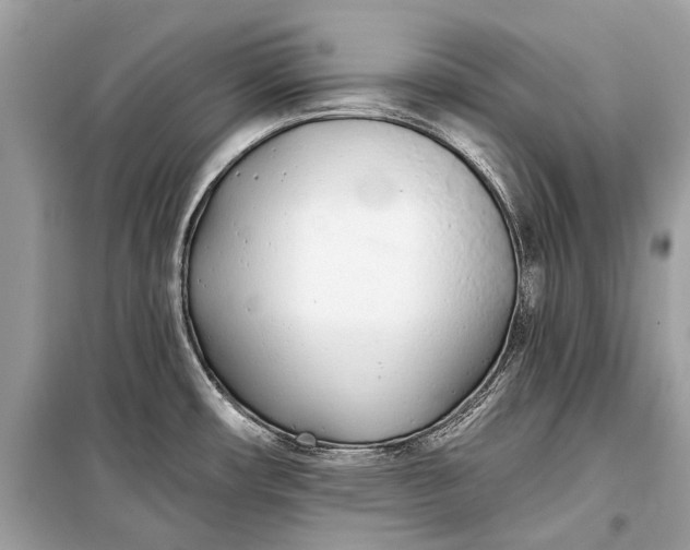 X0000099301482200805161337