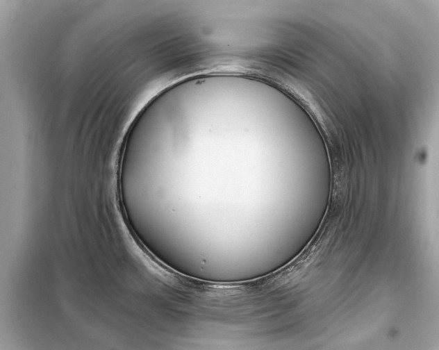 X0000099301483200805161337