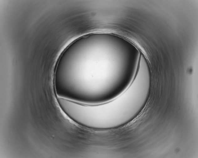 X0000099301484200805161337