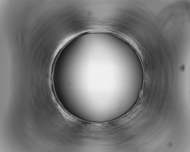 X0000099301485200805161337