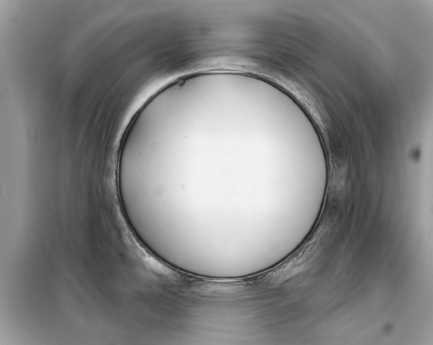 X0000099301486200805161337