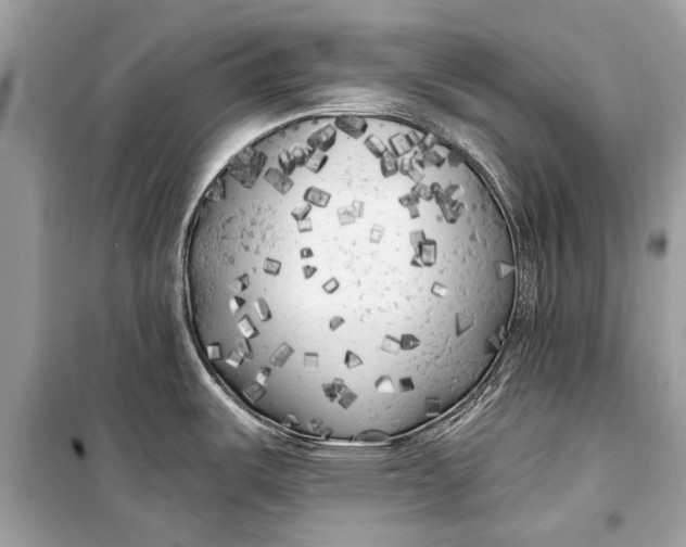 X0000099301487200805161337