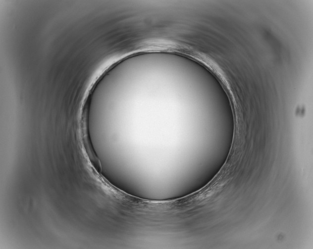 X0000099301488200805161337