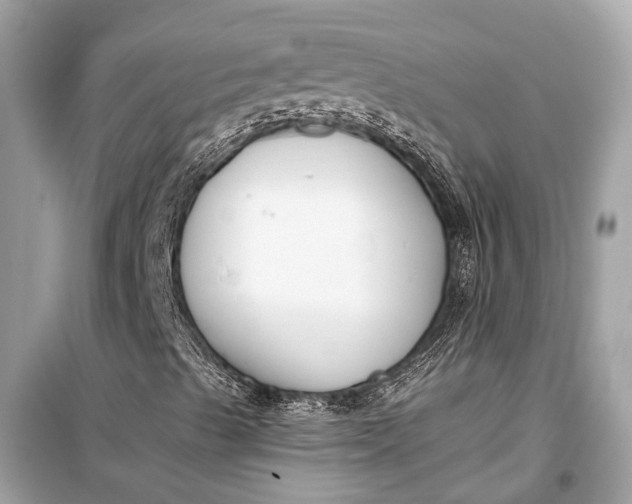 X0000099301489200805161336