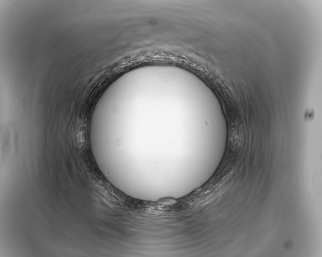 X0000099301490200805161336