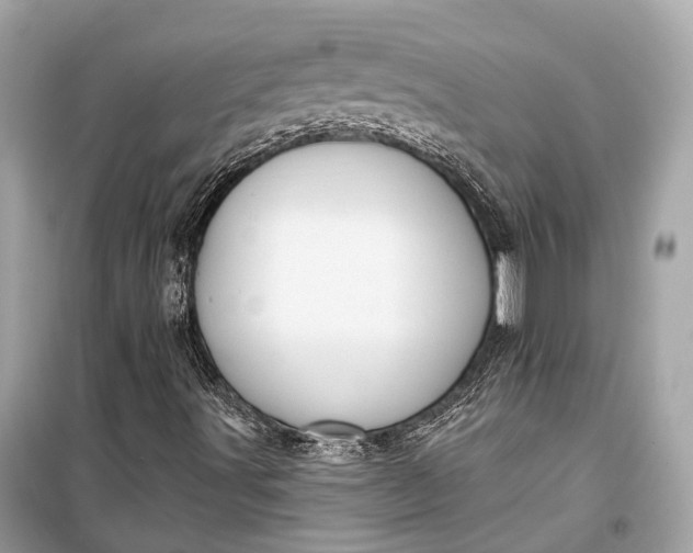 X0000099301491200805161336