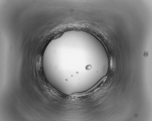 X0000099301492200805161336