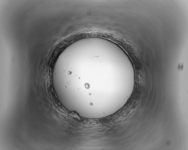 X0000099301493200805161336