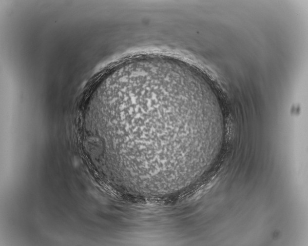 X0000099301494200805161336