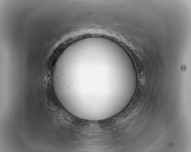 X0000099301495200805161336