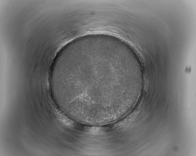 X0000099301497200805161336