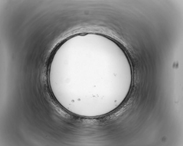 X0000099301498200805161336