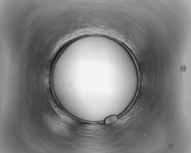 X0000099301499200805161336