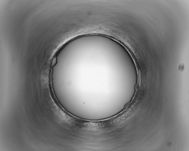 X0000099301500200805161336