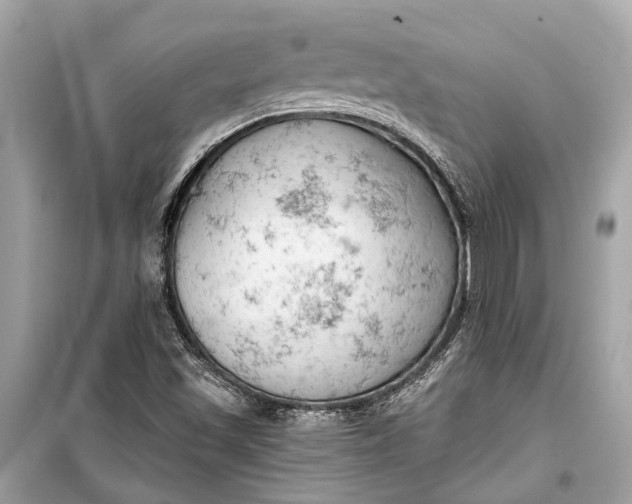 X0000099301501200805161336