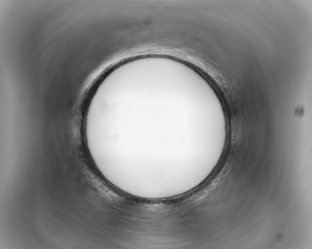 X0000099301502200805161336