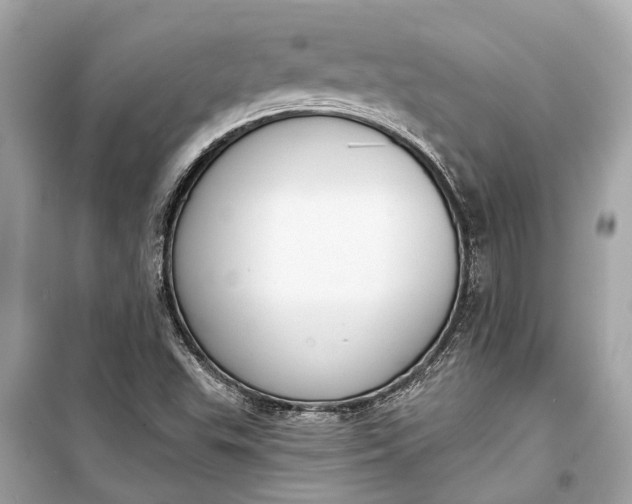 X0000099301503200805161336