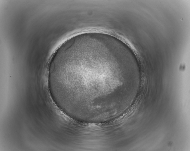 X0000099301504200805161336