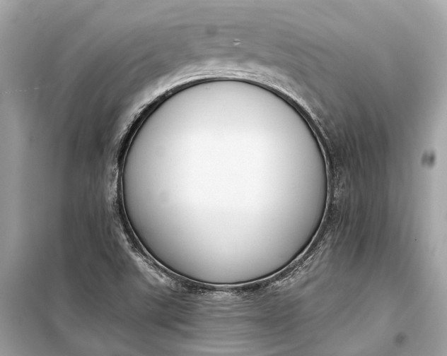 X0000099301507200805161336