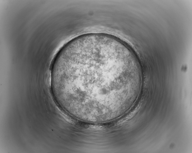 X0000099301509200805161337